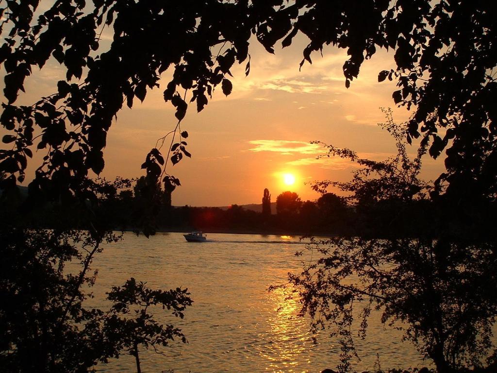 Zur Rheinschanz Бад Хьонинген Екстериор снимка