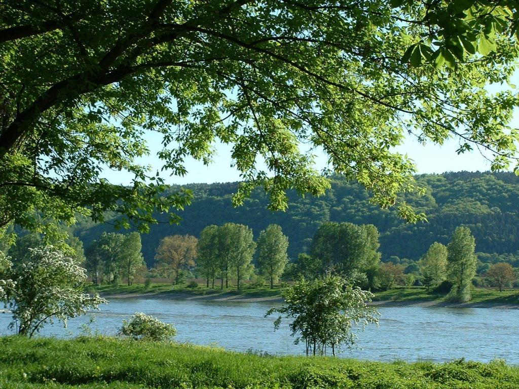 Zur Rheinschanz Бад Хьонинген Екстериор снимка
